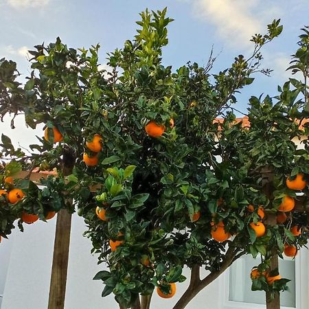 Perto Do Mar, Alojamento Local Gafanha da Boa Hora Екстериор снимка